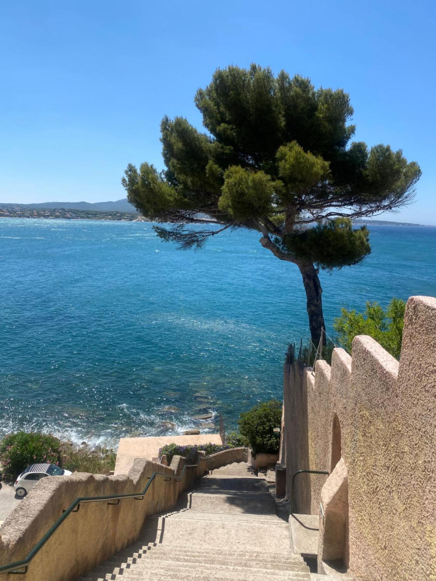 Appartamento Casa Paloma Sanary-sur-Mer Esterno foto